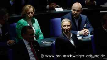„Stillhaltezusage“ in Sachen AfD: Was bedeutet der Schritt?