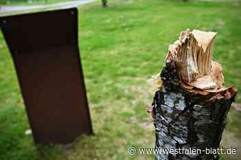 Axt-Attacke nach Tulpen-Skandal