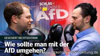 Wie umgehen mit der AfD: Sollte die Partei verboten werden?