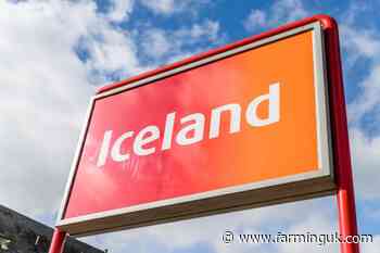 Iceland abandons its 2025 cage-free egg commitment