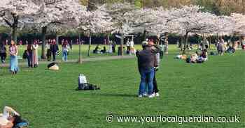 The photogenic south London park with a stunning wisteria walkway