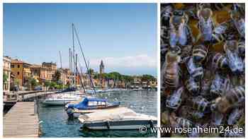 Touristen-Horror am Gardasee: 80.000 Bienen nehmen Lokal ein - Staatsanwaltschaft ermittelt