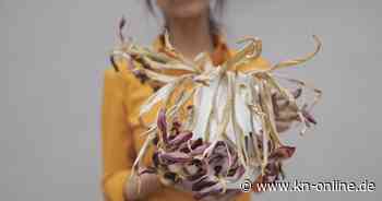 Grüner Daumen gesucht