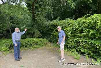 Oehoe voor het eerst waargenomen in Keerbergen: “Ik heb hier 70 jaar op gewacht”