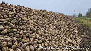 Nordzucker unter Druck: Wann erholt sich der Zuckerpreis?