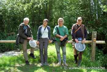“Van schorpioen tot munt uit 1288”: wekelijkse zoektocht van natuurfanaten levert opmerkelijke vondsten op