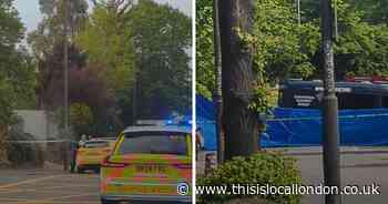 Pictures from scene as Purley road closed for over 16 hours after man dies in crash