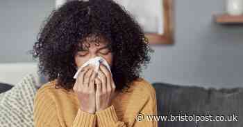 3 hay fever symptoms which could be sign you need urgent medical help