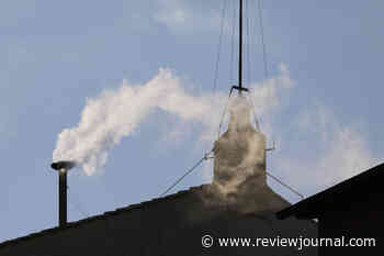 A new pope has been chosen. White smoke rises from the Sistine Chapel