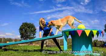 Award-winning doggy day care opens new site in Warrington