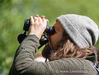 Museum offering free nature journaling workshop