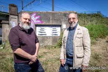 Littekens Boelaerbuurt plaatst struikelsteen voor verzetsheld René Aerts om einde WO II te herdenken: “Als havenarbeider moet hij van onschatbare waarde zijn geweest”