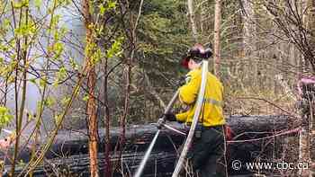 800 residents of Alberta village allowed home as crews hold the line on nearby wildfire