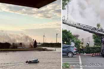 Hevige brand in strandbar in Antwerpen: rookpluim van ver zichtbaar