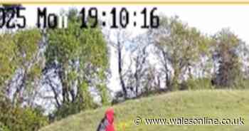 E-bike riders trash field and cause £10,000 worth of damage as business issues plea to vandals