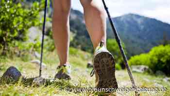 Nach Vorwürfen: AfD-Mann aus dem Harz darf im Wanderverein bleiben
