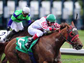 Hastings Racing Club helps parlay casual fans into full fledged owners