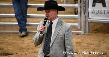 Why balancing beef productivity with health, resilience traits may be crucial