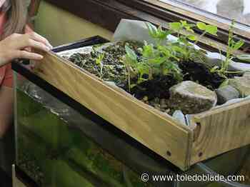 Wildwood Environmental Academy hosting eco-themed showcase