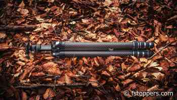 Travel Light, Shoot Heavy: We Review the Falcam TreeRoot Quick Lock Lite Tripod