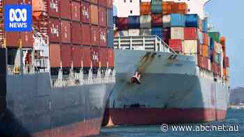 'Horrendously expensive' interstate shipping denies farmers lifeline