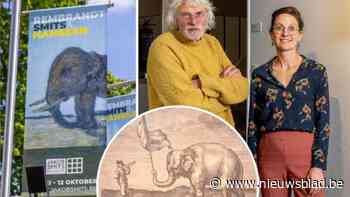 Hoe een olifant Rembrandt en Jakob Smits samenbrengt in het Molse Jakob Smitsmuseum