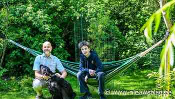 Hasselaar Bernd weerstaat al 6 jaar aan de lokroep van bouwpromotoren: “Mijn stadsbosje blijft groen”