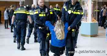 Wie is toch beroepsdemonstrant Elise die op 4 mei van de Dam werd gevoerd?