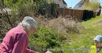 Children from Dorset nursery build 'bug hotel' to support wildlife