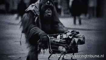 Gift a Tree en Ideapreneurs brengen indringende AI-campagne tegen ontbossing