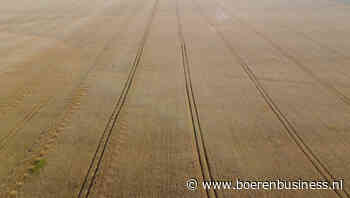 Europese boer wil 'cash crop' maar graan blijft op 1