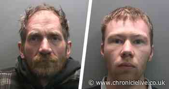 Moronic Sycamore Gap pair found GUILTY of felling the 'most famous tree in the world'