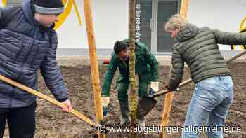 Lernen durch Engagement