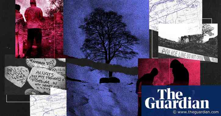 ‘Stealing joy’: the sadness and symbolism of the crime at Sycamore Gap