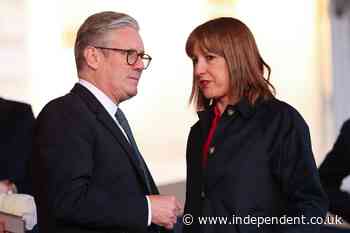 Starmer’s war on newts risks breaching Brexit deal, EU warns