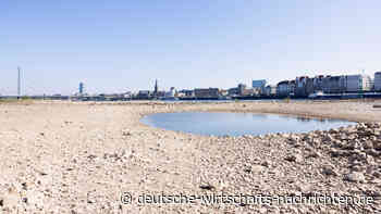 Endlos-Hitze droht im Sommer: Wetterextreme betreffen jüngere Generationen erheblich stärker