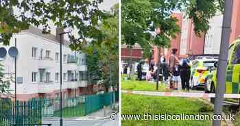 Man left with 'possibly life-changing injuries' after Plumstead stabbing