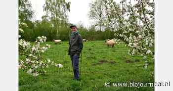 Agroforestry versterkt biodiversiteit in Haspengouwse boomgaard