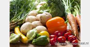 Biologische versgroothandel BioNoord failliet verklaard