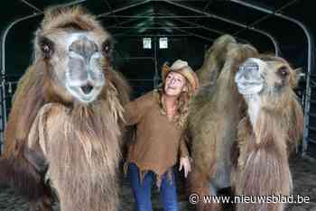 Kameel Betty uit ‘Don’t worry be happy’ plots overleden: “Als je denkt dat het niet erger kan, blijkt dat toch te kunnen”