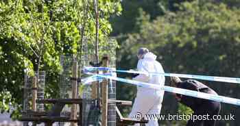 Man stabbed in Bristol park by 'three males who fled on bikes'