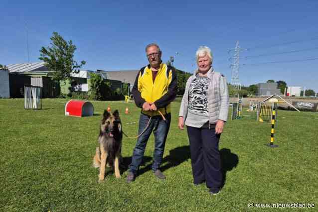 Hondenschool Sint-Elooisvrienden wanhopig op zoek naar nieuwe terreinen door komst verkaveling: “Moed zakt ons stilaan in de schoenen”