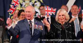 Royal fans have same complaint after VE Day concert's 'major issue'