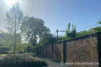 Tweehonderd jaar oude treurwilg kon niet meer gered worden en werd gekapt