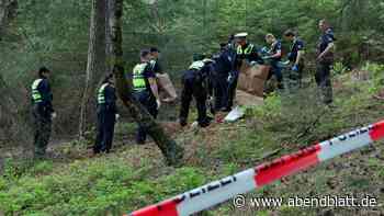Tatort Fischbeker Heide: Ein Idyll mit dunklen Geheimnissen