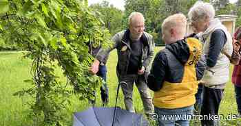 Bamberg: Schmetterlingen auf der Spur - kostenlose Exkursion im Hain