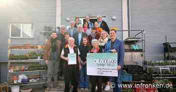 Stadt Bamberg würdigt Leistungen der Tafel - "unverzichtbare Stütze"