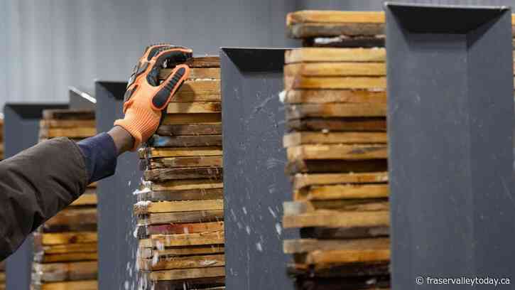 Chilliwack, Abbotsford add more jobs as national unemployment rate ticks up to 6.9%: StatCan