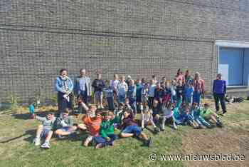 Leerlingen De Bosrank vormen kale schoolmuur om tot groene geveltuin: “Werk maken van een gezonde toekomst”
