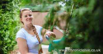 Met Office issues urgent warning to anyone who trims their hedges in May